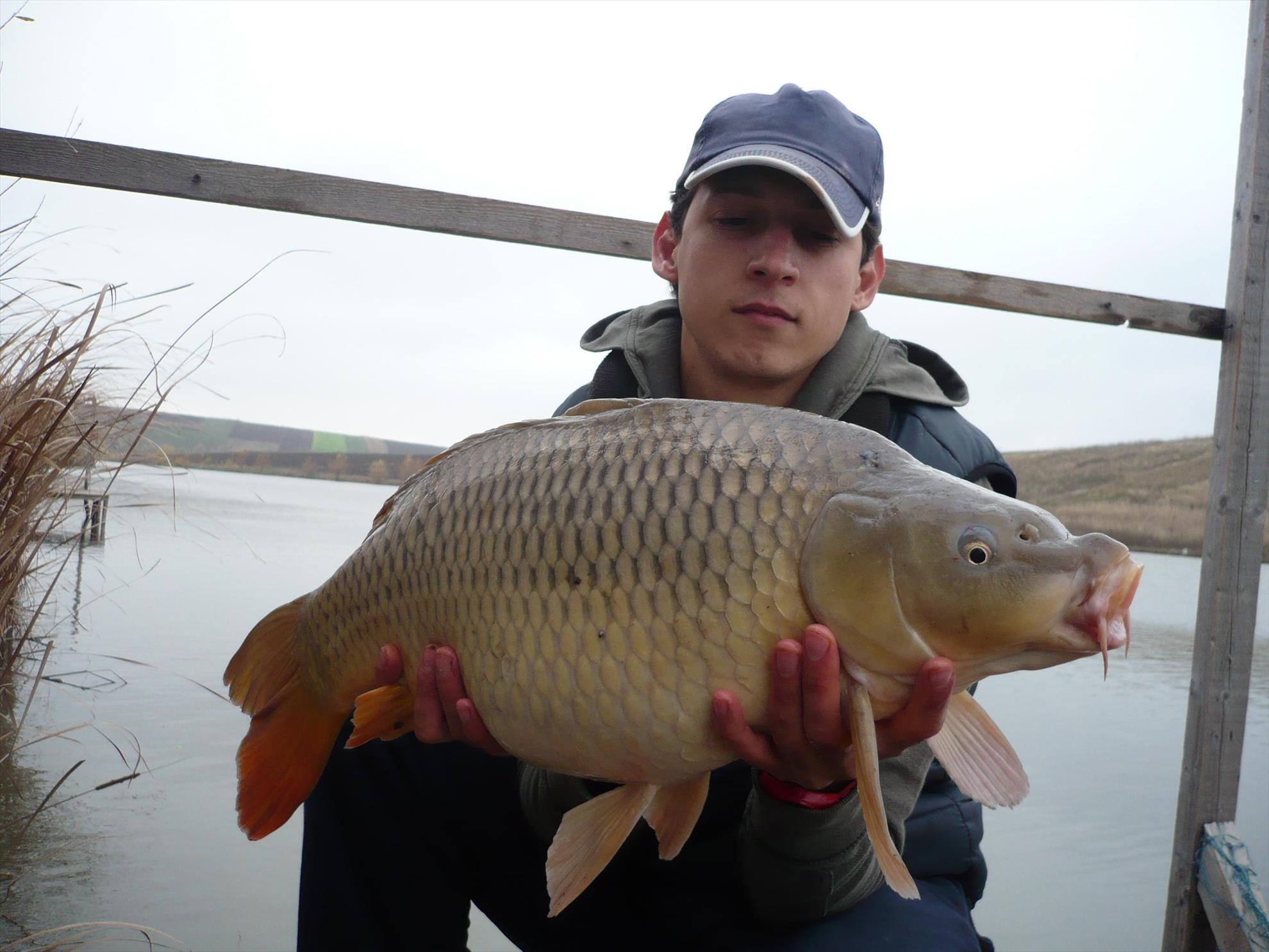 Magura 9 - 23.NOI.2013 - p102000511.JPG